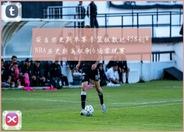 安吉尔里斯单赛季篮板数达458创WNBA历史新高仅剩6场常规赛