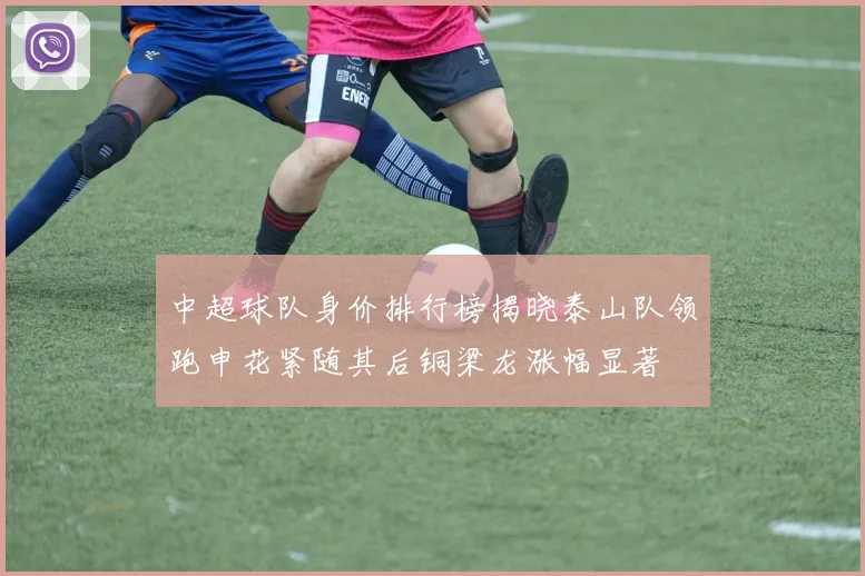 中超球队身价排行榜揭晓泰山队领跑申花紧随其后铜梁龙涨幅显著