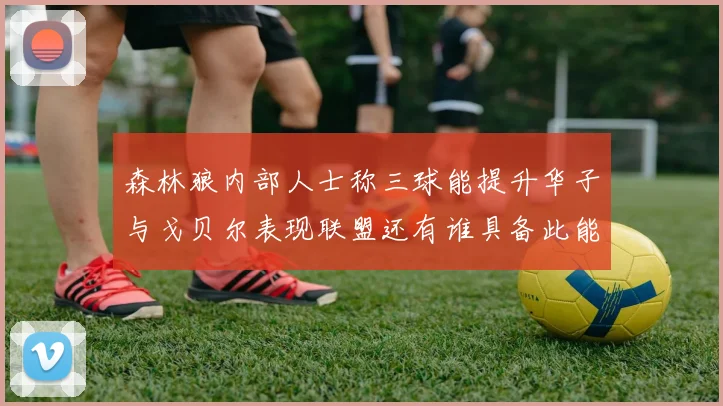 森林狼内部人士称三球能提升华子与戈贝尔表现联盟还有谁具备此能力