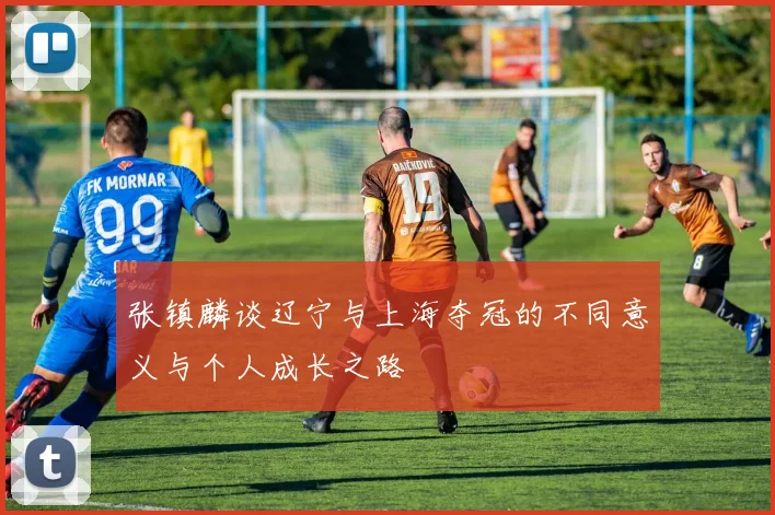 张镇麟谈辽宁与上海夺冠的不同意义与个人成长之路